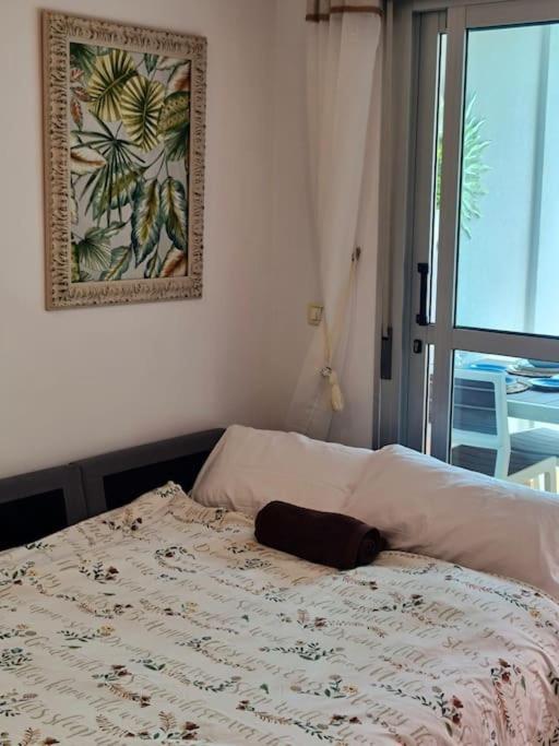 Homely Apt In Modern Building With Pool サンミゲル・デ・アボナ エクステリア 写真